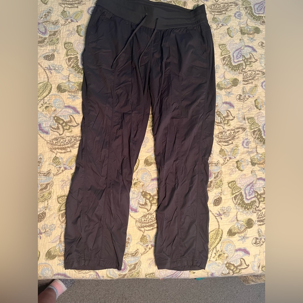 The North Face women’s drawstring outdoor pants in 1X